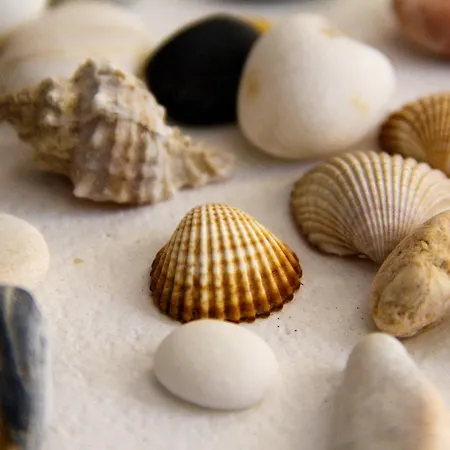 מלון Galaxy מילופוטאס