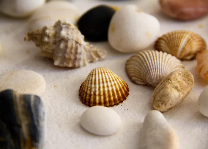 Ξενοδοχείο Galaxy Μυλοπότας